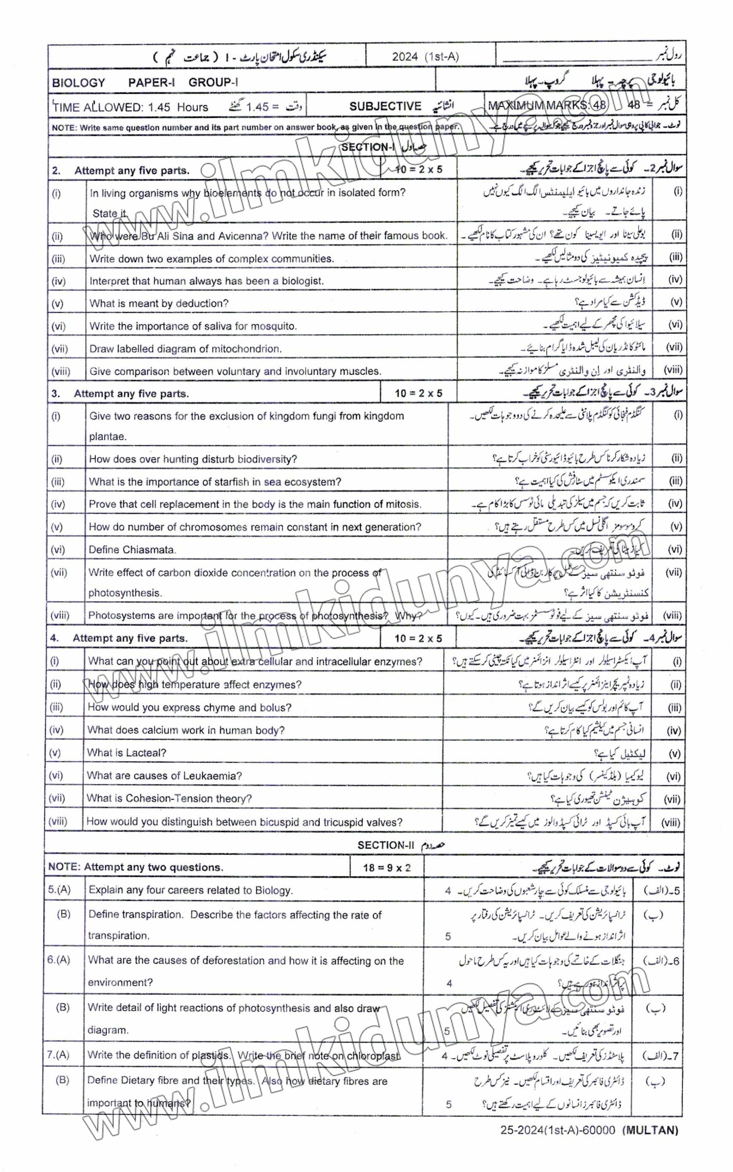 Paper Image